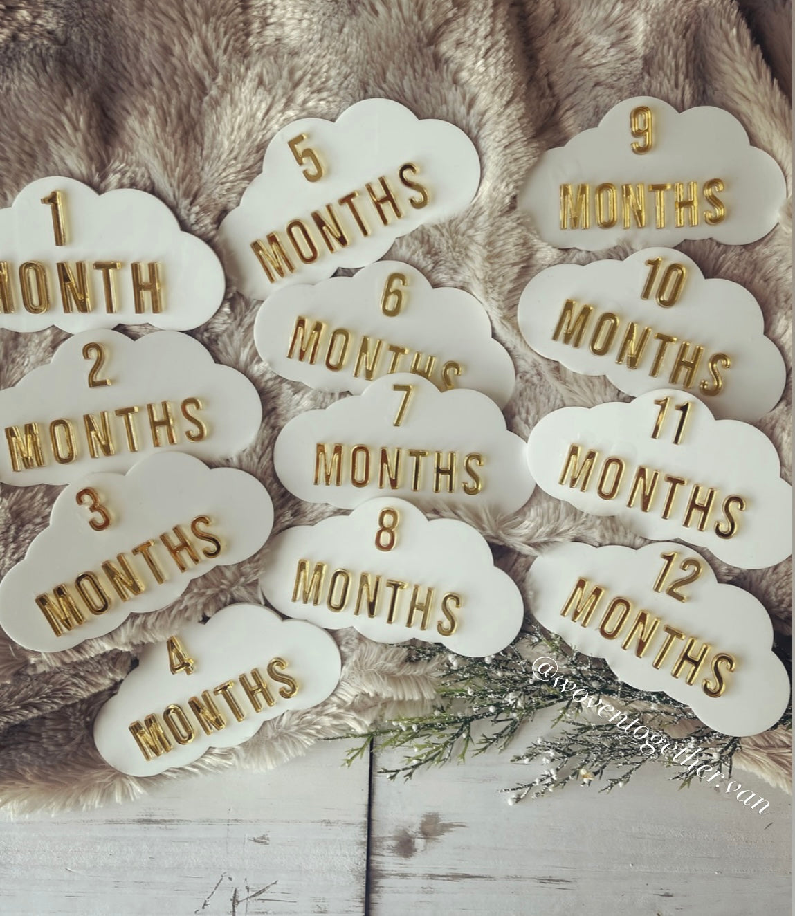 12 Month Baby Milestone Clouds